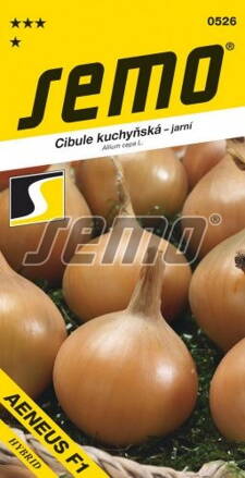 Cibuľa jarná  Aeneus F1   