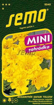 Aksamietnica rozložitá Safari Yellow