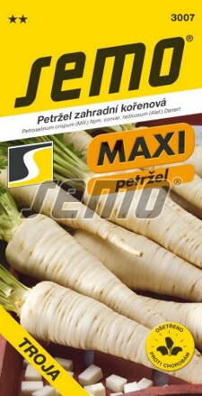 Petržlen záhradný Troja   