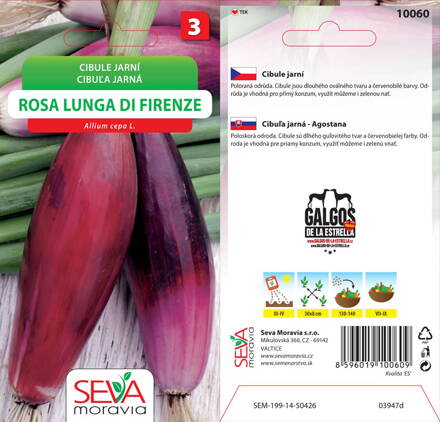 Cibuľa jarná Rosa Lunga Di Firenze