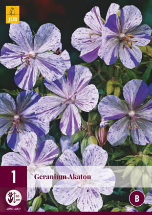 Geranium Pakost Akaton   