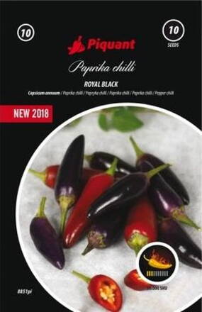 Paprika chilli Royal Black 